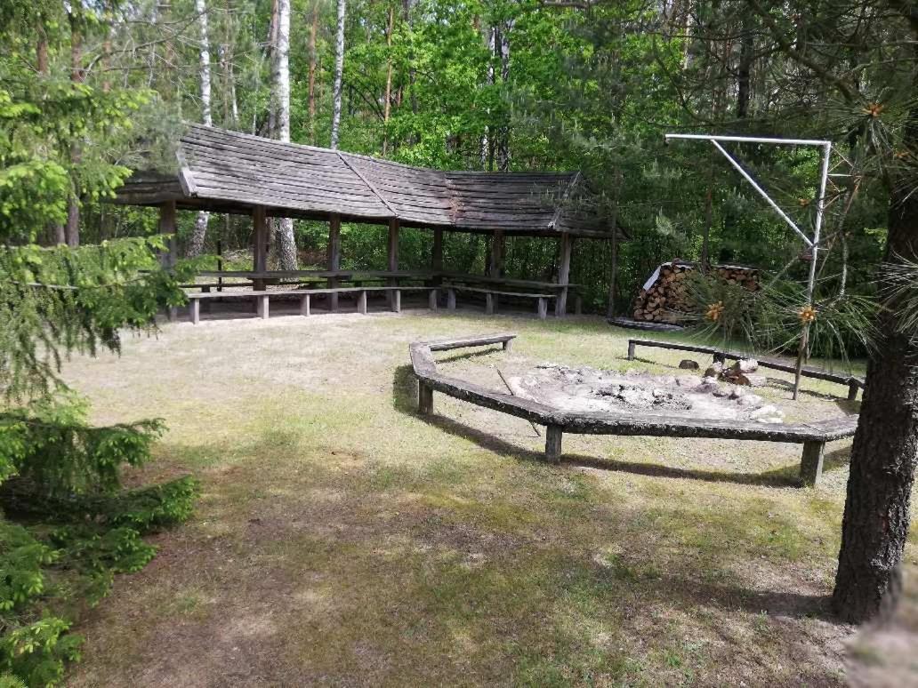 Agroturystyka "Lesne Zacisze Na Podlasiu" Tuczna Bagian luar foto