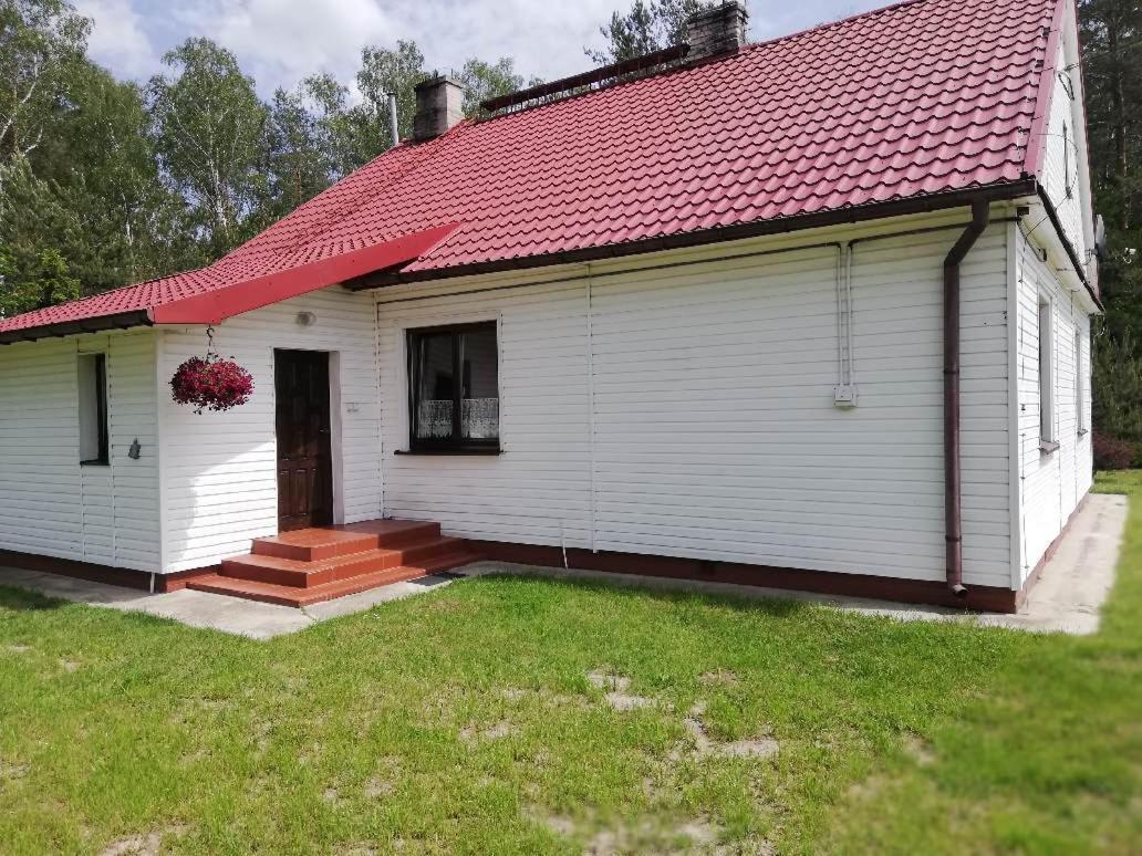 Agroturystyka "Lesne Zacisze Na Podlasiu" Tuczna Bagian luar foto