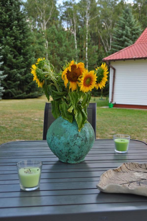 Agroturystyka "Lesne Zacisze Na Podlasiu" Tuczna Bagian luar foto