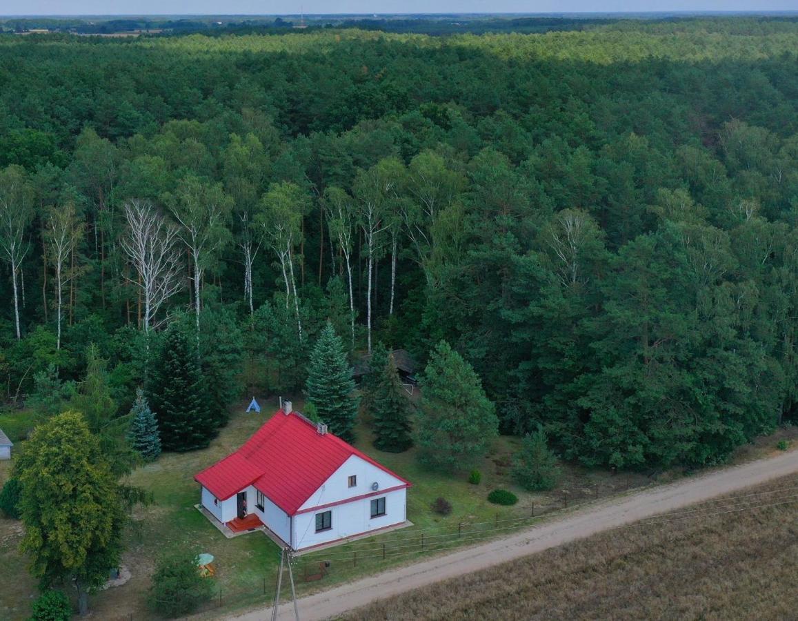 Agroturystyka "Lesne Zacisze Na Podlasiu" Tuczna Bagian luar foto